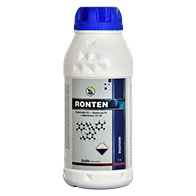 Ronten 