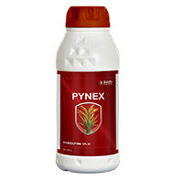 Pynex