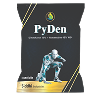 PyDen