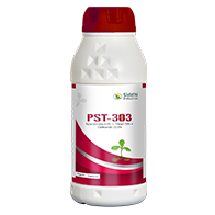 PST - 303