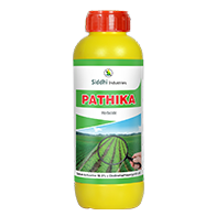 Pathika