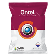 Ontel
