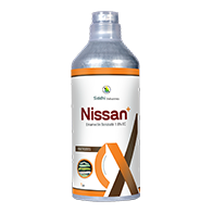 Nissan+