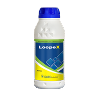 LoopeX