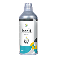 Lannis