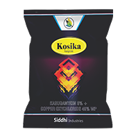 Kosika