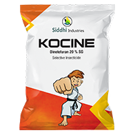 Kocine