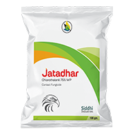 Jatadhar
