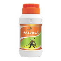 Jaljala
