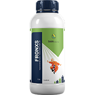 Fronxs