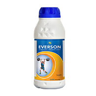Everson
