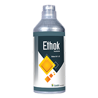 Ethok