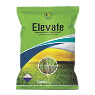 Elevate
