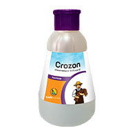 Crozon