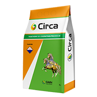 Circa