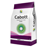 Cabott