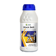 Black Belt