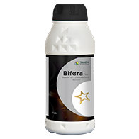 Bifera Plus