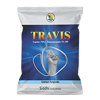 Travis