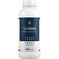 Spimida