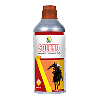 Soleno