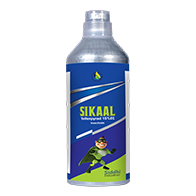 Sikaal
