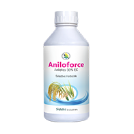 Aniloforce