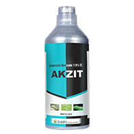Akzit