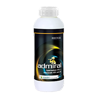 Admiral