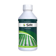 Sifit