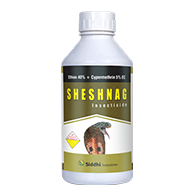SheshNag