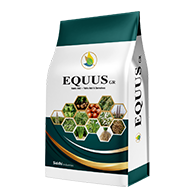 Equus GR
