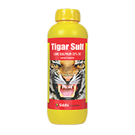 Tiger Sulf